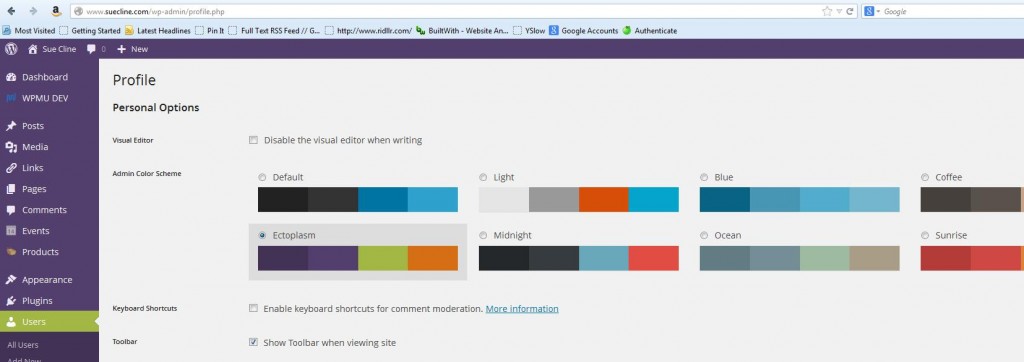 When you select a color choice, you'll see it immediately reflect in your sidebar. 